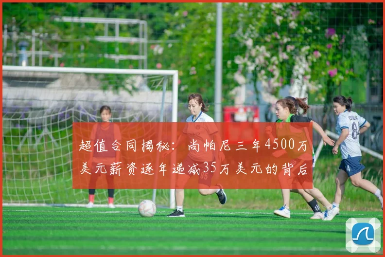 超值合同揭秘：尚帕尼三年4500万美元薪资逐年递减35万美元的背后故事