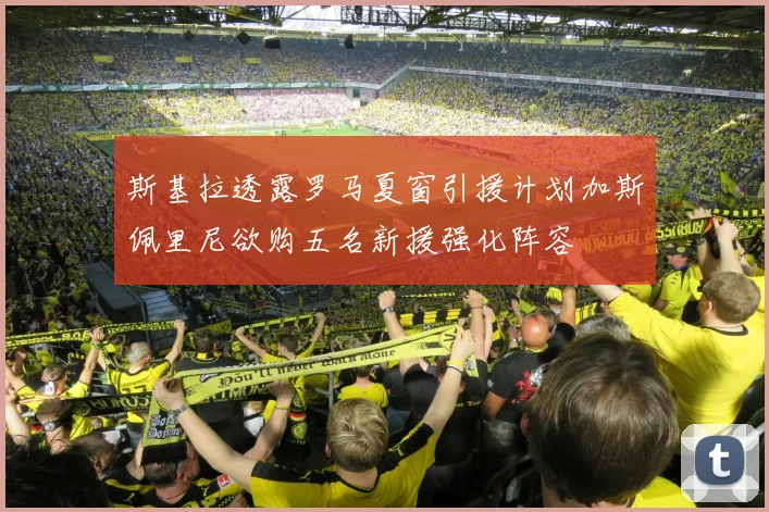 斯基拉透露罗马夏窗引援计划加斯佩里尼欲购五名新援强化阵容