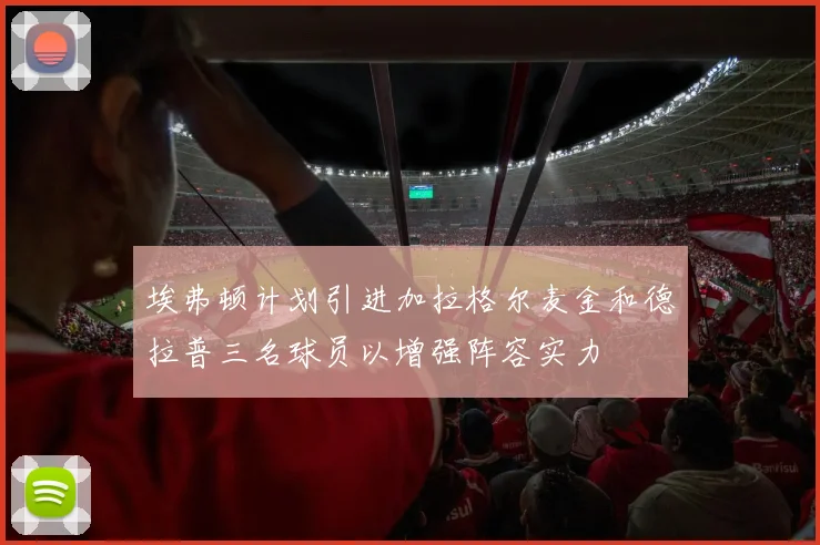 埃弗顿计划引进加拉格尔麦金和德拉普三名球员以增强阵容实力